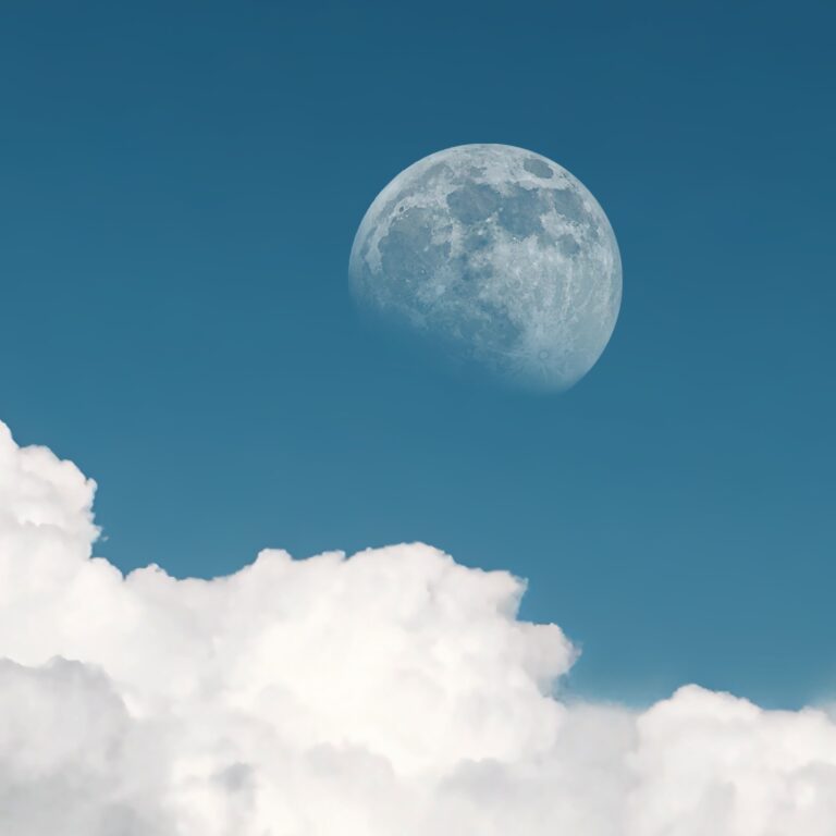 Cursus Slaapwijsheid - Relax Instituut