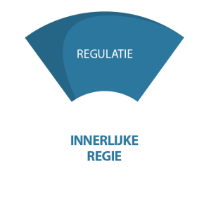 Draagkracht Model - Domein Regulatie