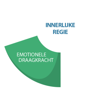 Draagkracht Model - Domein Emotionele Draagkracht