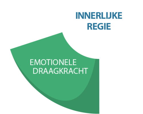 emotionele-draagkracht-transparant-vierkant